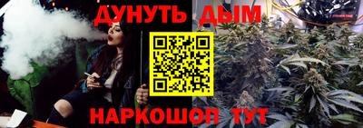 гашик Будённовск