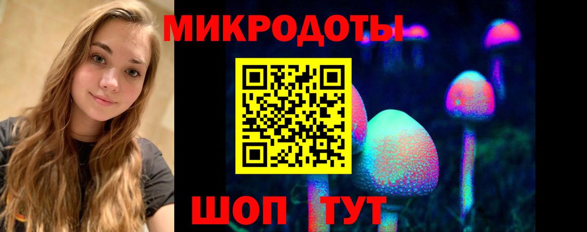 Псилоцибиновые грибы мицелий Учалы